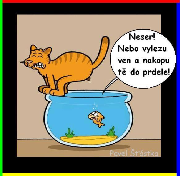 Vtip Nerařazeny