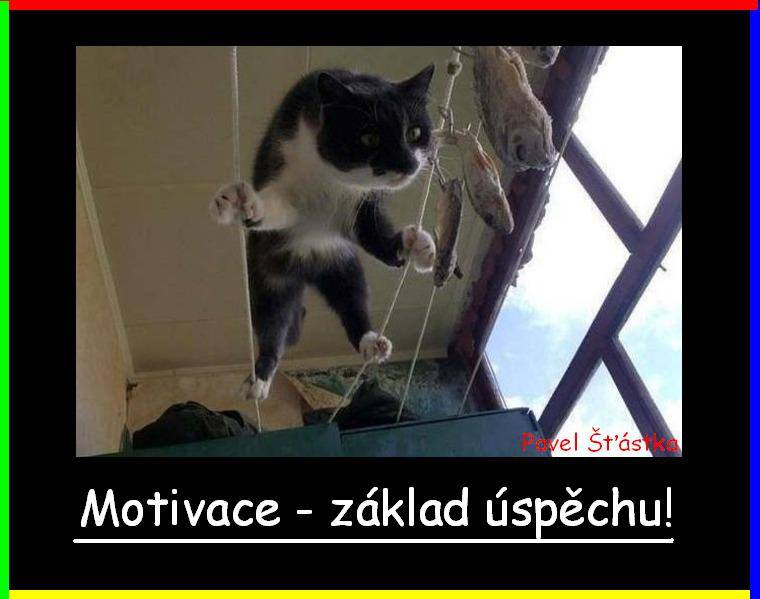 Vtip Nerařazeny