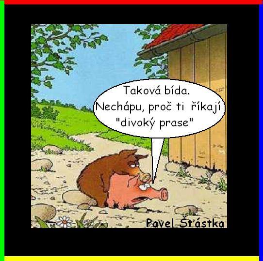Vtip Nerařazeny