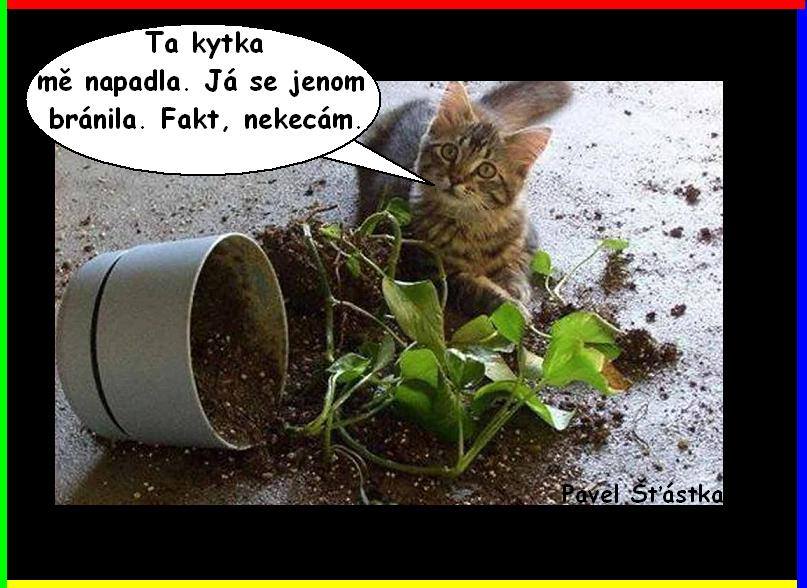 Vtip Nerařazeny