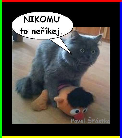 Vtip Nerařazeny