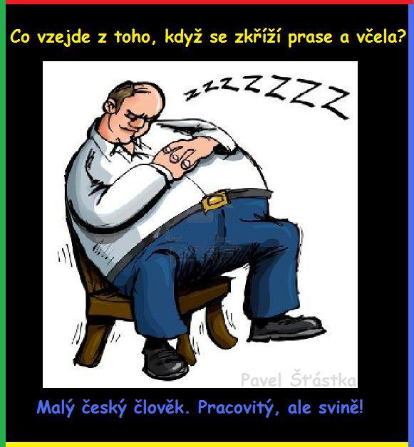 Vtip Nerařazeny