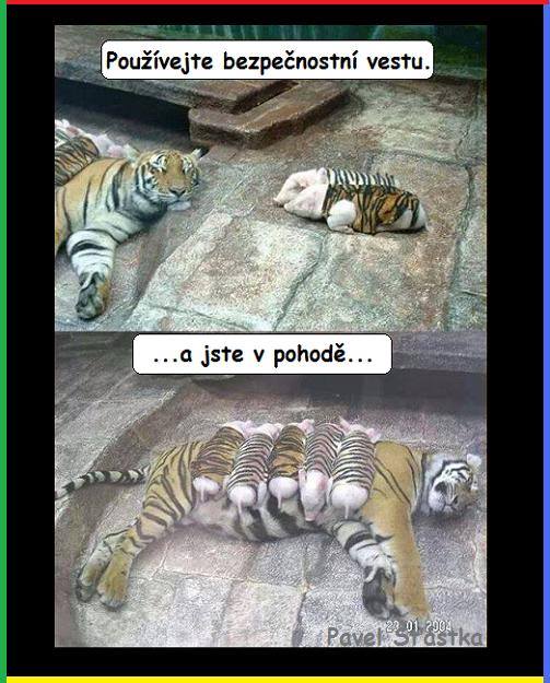 Vtip Nerařazeny