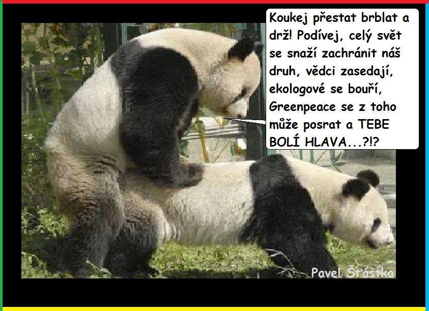 Vtip Nerařazeny