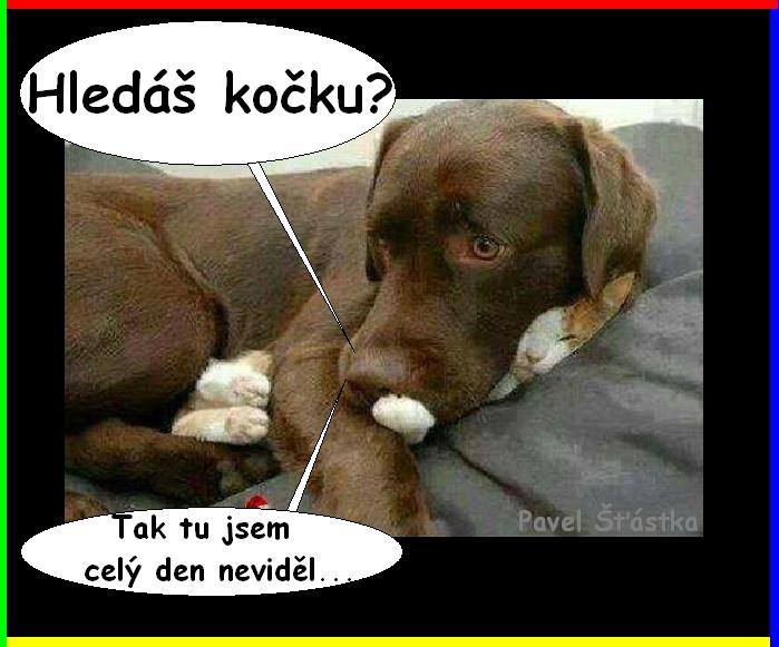 Vtip Nerařazeny