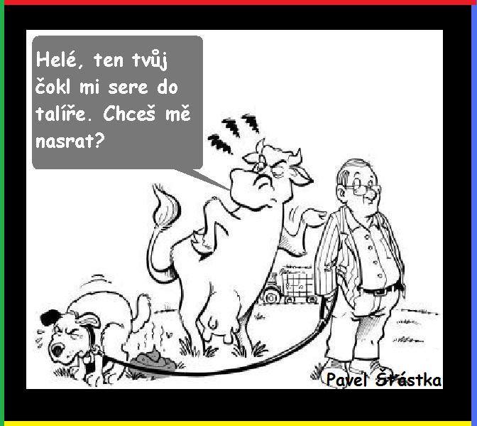 Vtip Nerařazeny