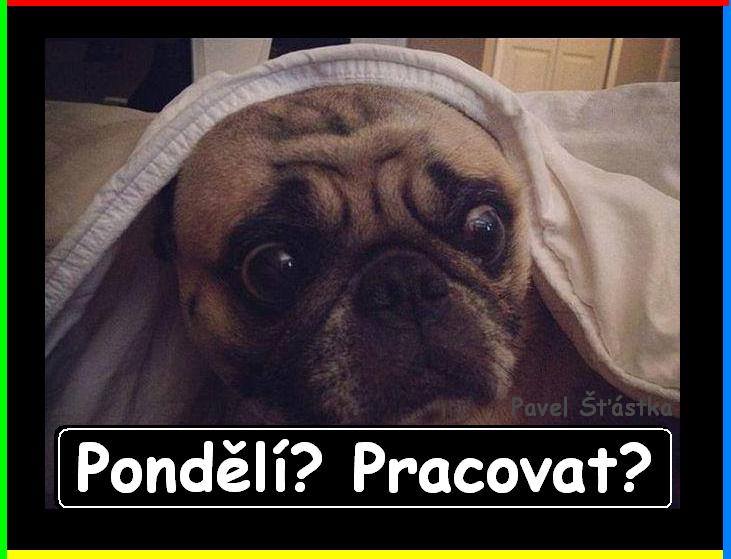 Vtip Nerařazeny