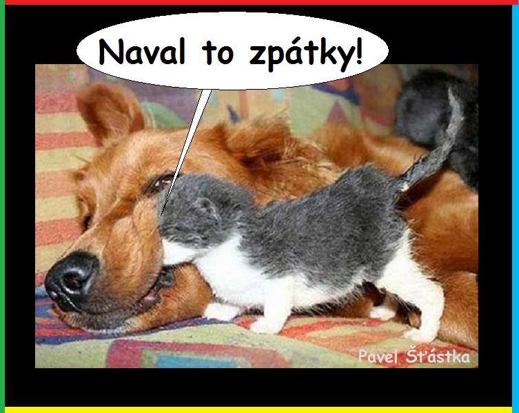 Vtip Nerařazeny