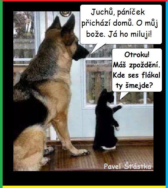Vtip Nerařazeny