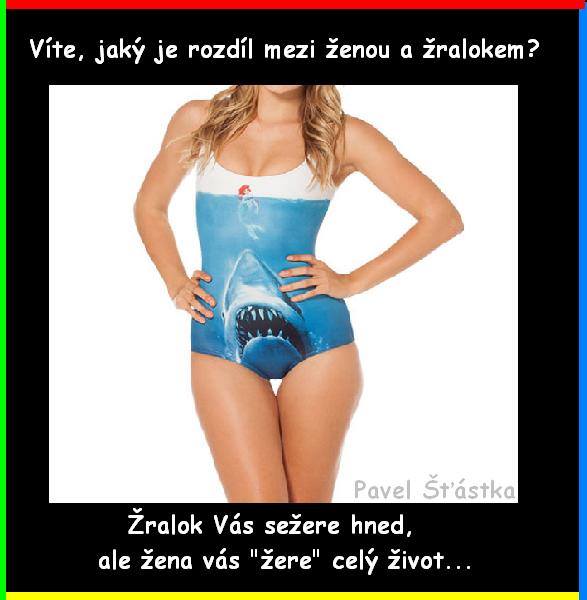 Vtip Nerařazeny