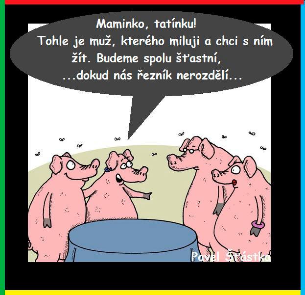 Vtip Nerařazeny