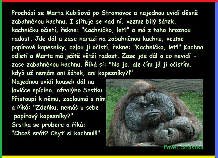 Vtip Nerařazeny