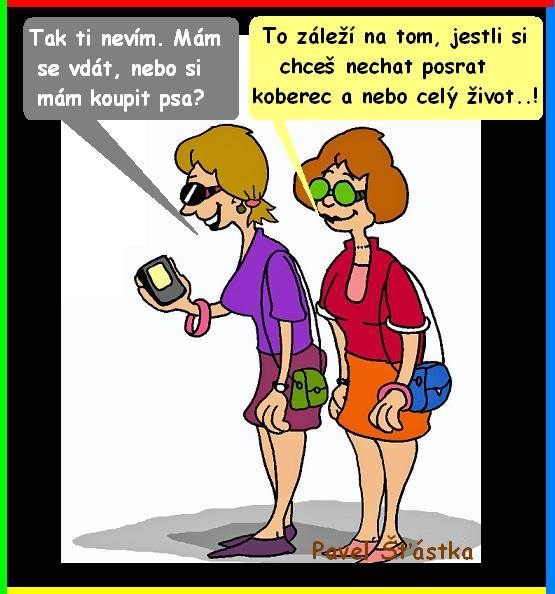 Vtip Nerařazeny