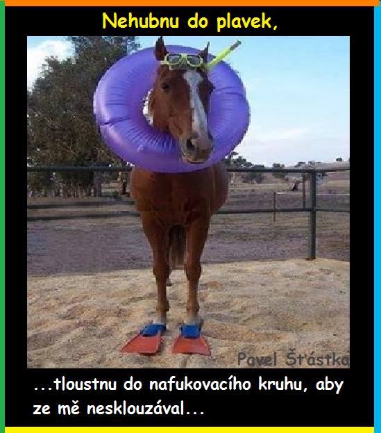 Vtip Nerařazeny