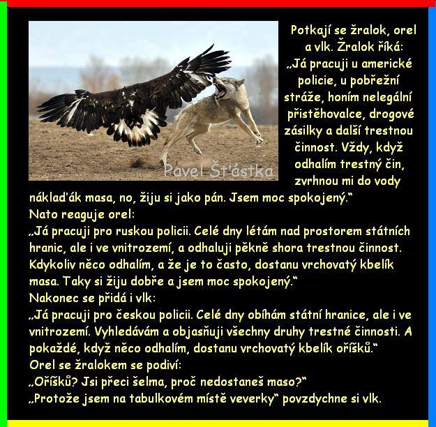 Vtip Nerařazeny
