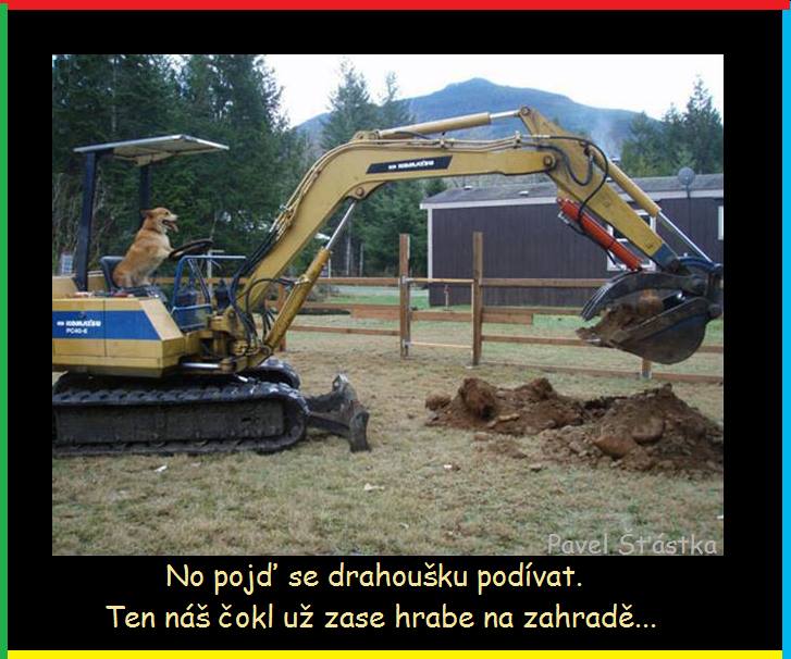 Vtip Nerařazeny
