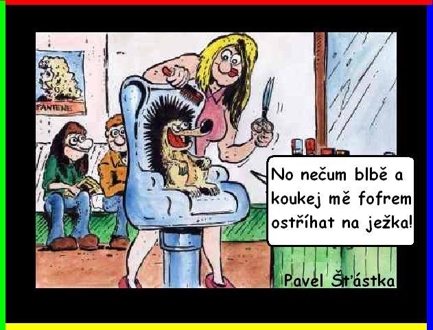 Vtip Nerařazeny