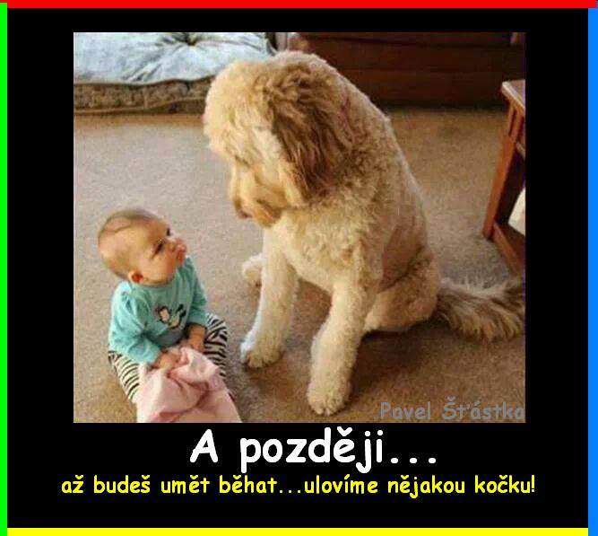 Vtip Nerařazeny