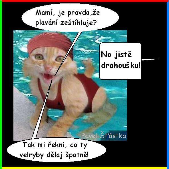 Vtip Nerařazeny