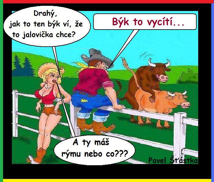 Vtip Nerařazeny