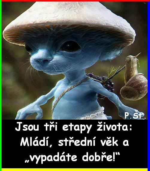 Vtip Nerařazeny