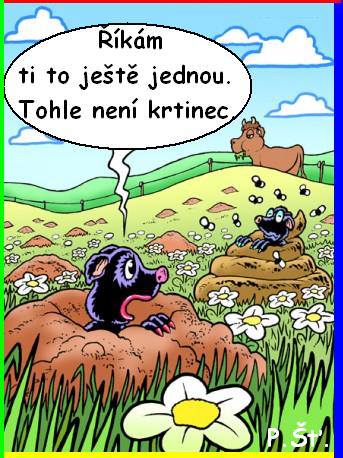 Vtip Nerařazeny