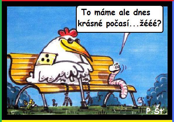 Vtip Nerařazeny