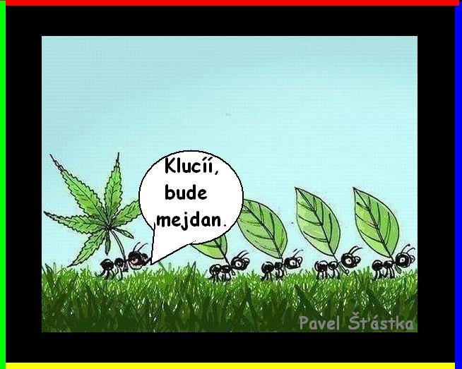 Vtip Nerařazeny
