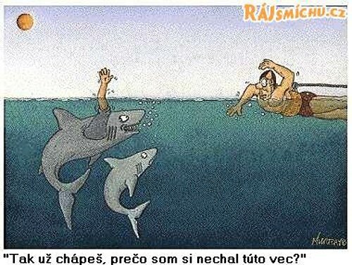Vtip Nerařazeny