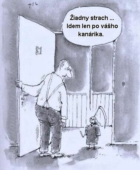 Vtip Nerařazeny