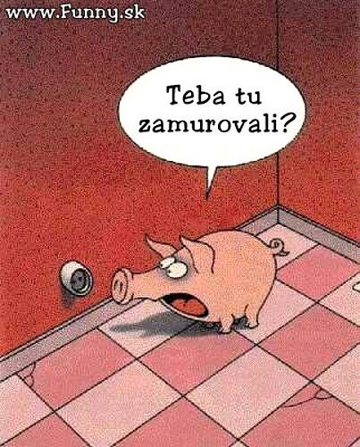 Vtip Nerařazeny