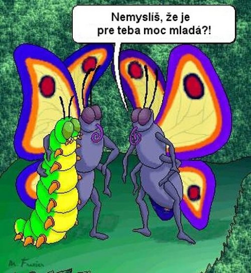 Vtip Nerařazeny