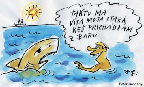 Vtip Nerařazeny