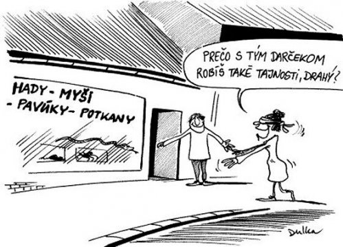 Vtip Nerařazeny