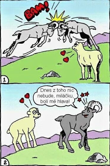 Vtip Nerařazeny