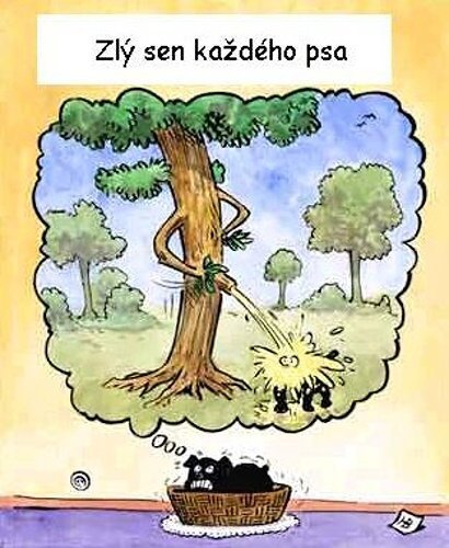 Vtip Nerařazeny