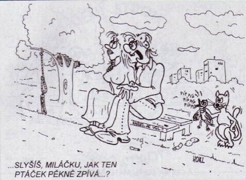 Vtip Nerařazeny