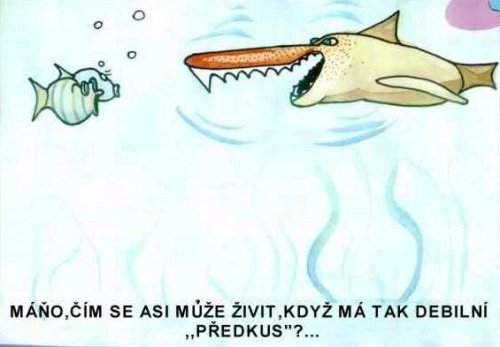 Vtip Nerařazeny