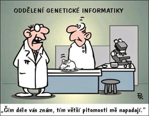 Vtip Nerařazeny