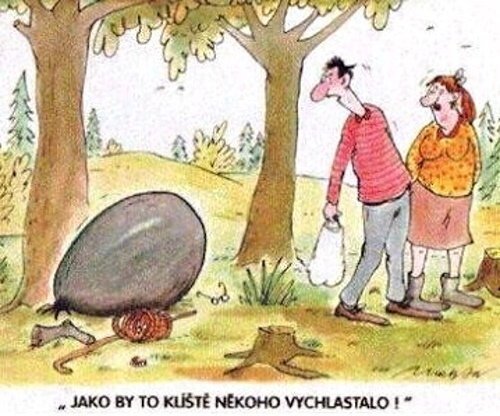 Vtip Nerařazeny