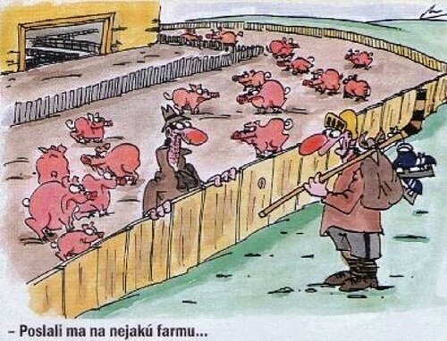 Vtip Nerařazeny
