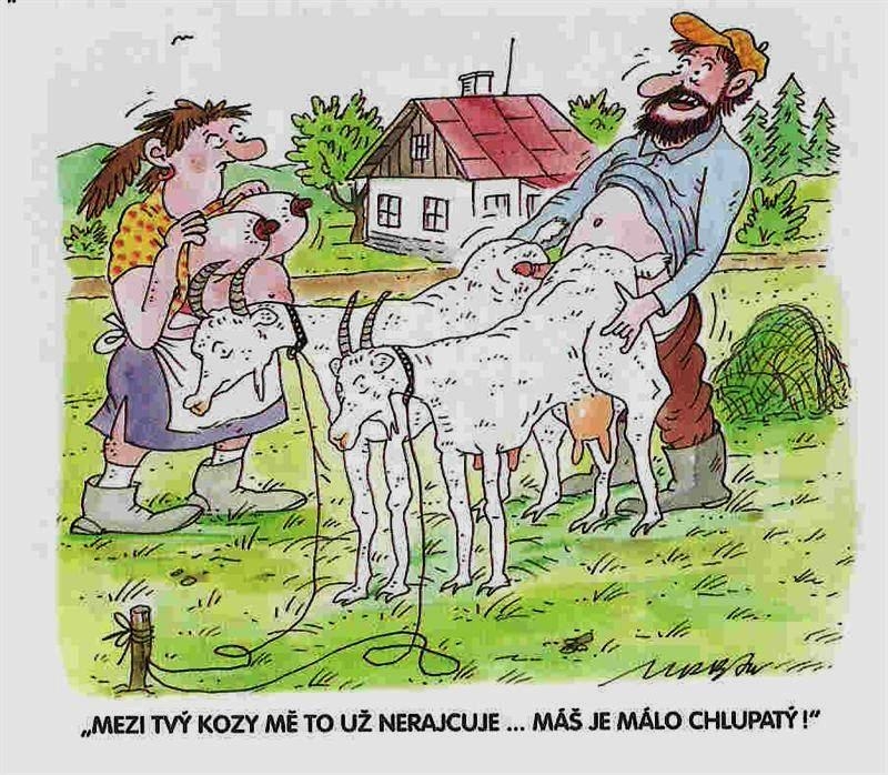Vtip Nerařazeny