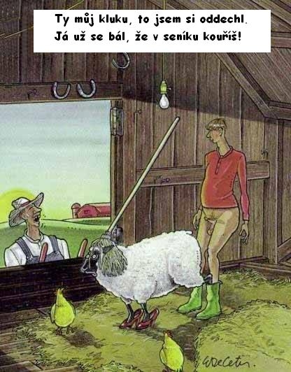 Vtip Nerařazeny