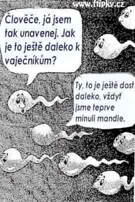 Vtip Nerařazeny