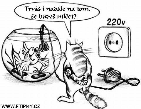 Vtip Nerařazeny