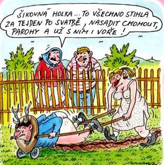 Vtip Nerařazeny