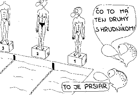 Vtip Nerařazeny