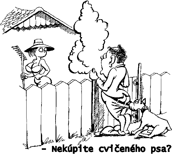 Vtip Nerařazeny