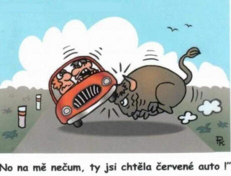Vtip Nerařazeny