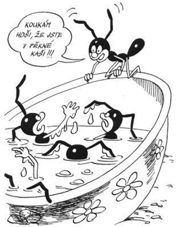 Vtip Nerařazeny